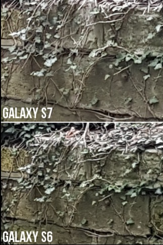 Samsung Galaxy S7 Camera vs. Galaxy S6 (12 MP vs. 16 MP) - No Loss of Details | 1
